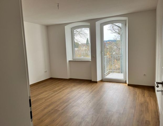 Sanierte 3-Zi Wohnung in ruhiger Nebenstraße, 1.OG links - Foto 1