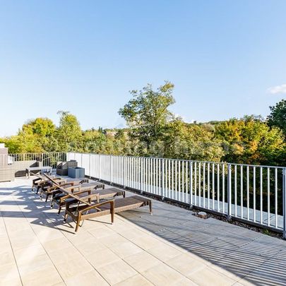 Perfect Single Living - Photo 1