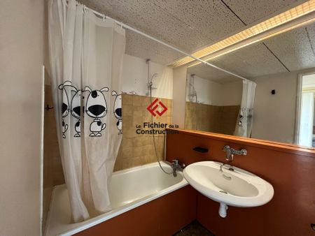 Location Appartement 1 pièce 26m² MEYLAN 38240 - Photo 4