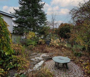 For Lease - 109 Woodfield Drive, Tanglewood - Grenfell Glen - Pineg... - Photo 5