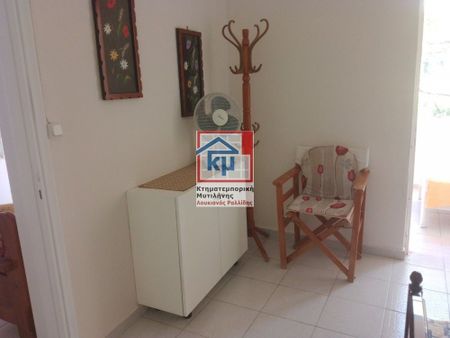 Μονοκατοικία για ενοικίαση Σκάλα Νέων Κυδωνιών (Λέσβος - Λουτρόπολη Θερμής) - Photo 3