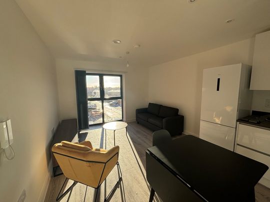 Bilsborrow Avenue - Photo 1