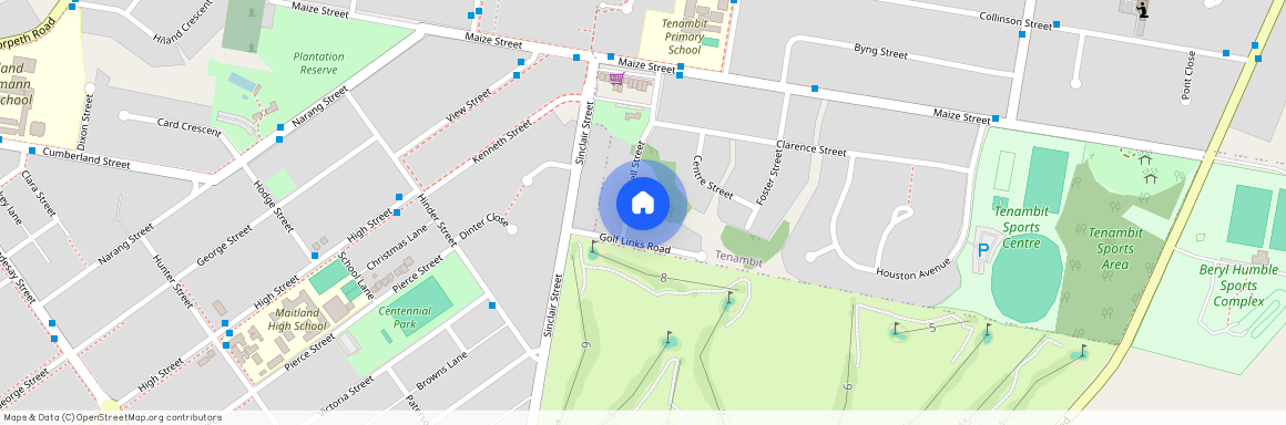 18 Tyrell Street, Tenambit NSW 2323