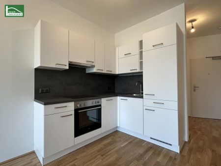 Gut geschnittene 2-Zimmer-Wohnung in unmittelbarer Nähe zur Donau - ab 01.06.2026 verfügbar! - Photo 4