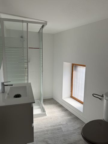 Location Appartement 2 pièces 35m² CAZERES 31220 - Photo 4