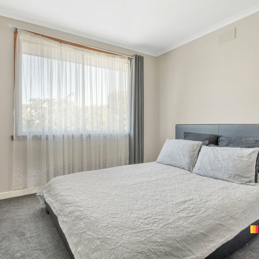117 Payne Street, Acton - Photo 1