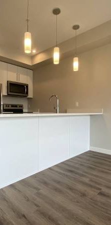 ***RENTAL INCENTIVE*** Enclave Residences - 1 bed / 1 bath - Photo 1