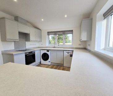 2 bed detached bungalow to rent in Southlands Road, Crays Hill, CM11 - Photo 4