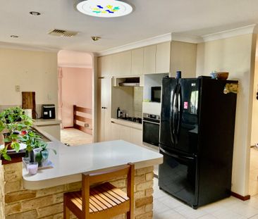 Alexander Heights - Photo 3