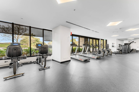 811/803 Dandenong Rd, Malvern East VIC 3145 - Apartment For Rent | Domain - Photo 4