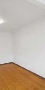 Light-Filled One-Bedroom Granny Flat - Photo 3