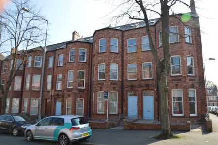 95a Eglantine Avenue, BT96EX, Belfast - Photo 3