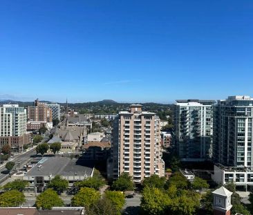 View Towers - 1147 Quadra St — Studio - Photo 2