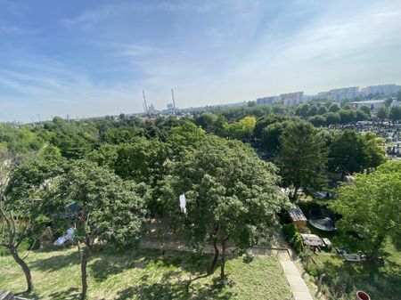 U3 ERSTBEZUG Top Dachwohnung 2 Zimmer + Terrasse =DAS LAURENZ= 1 bedroom apartment+terrace - Photo 4