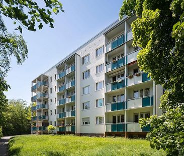 Burger Hof 7 - Harzer-Karree - Photo 6