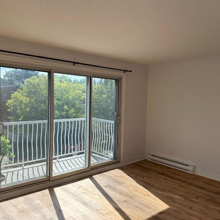 Grand 5 1/2 - Étage supérieur - lumineux, confortable, élégant - Photo 3