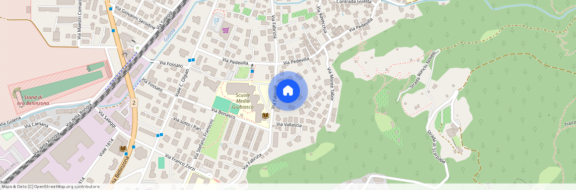 Via Fabrizia 22, Bellinzonese