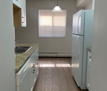 Spacious One Bedroom Apartment in Beautiful Sunnyside - Photo 5