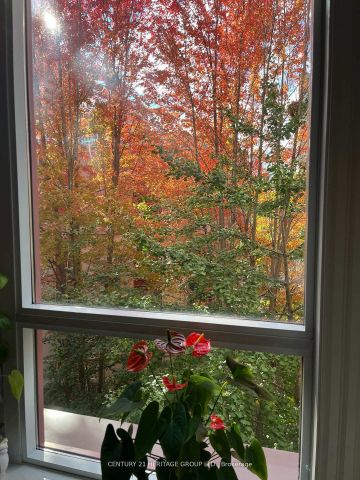 For Lease - 23 Rean Drive Unit# 309, Toronto, Ontario - Photo 2