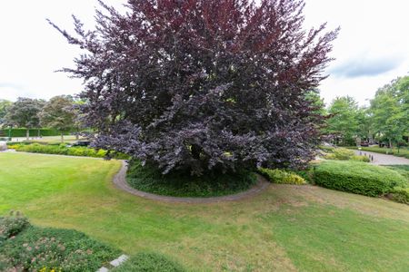 Te huur: Appartement Kwartellaan in Leersum - Foto 5