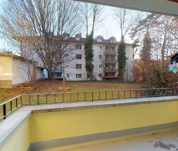 Living in the Ostring - Photo 5