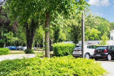 Wohnen in der Seniorenresidenz "Am Kurpark" im Hammer Osten - Foto 4