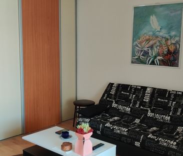 Stefan cel Mare, 5 minute metrou Bucur Obor - Fotografie 3