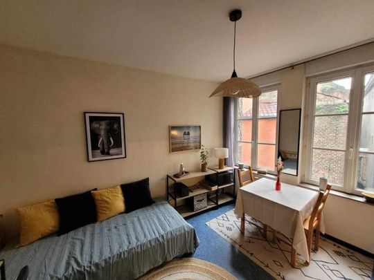 Location Appartement 1 pièce 15m² VALENCIENNES 59300 - Photo 1