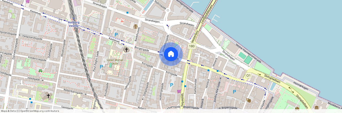 Borgergade 21, 2.tv, Aalborg