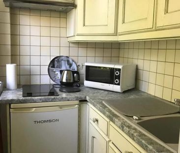 Location Appartement 1 pièce 28m² GIF SUR YVETTE 91190 - Photo 4