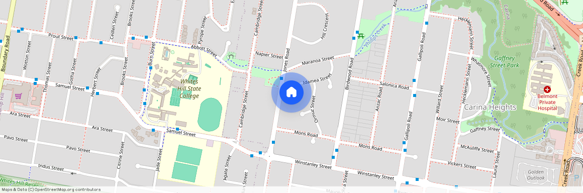 25 Idamea Street, Qld 4152, Carina Heights