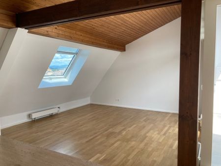 Rent a 4 rooms duplex in Basel - Photo 3