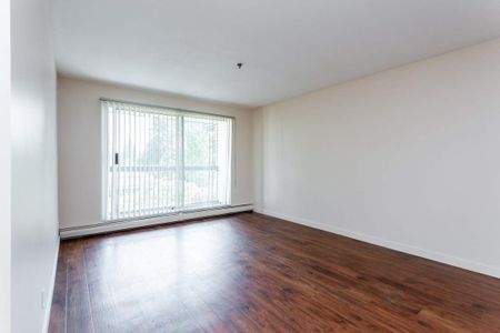 Chelsea Park Apartments - Photo 4