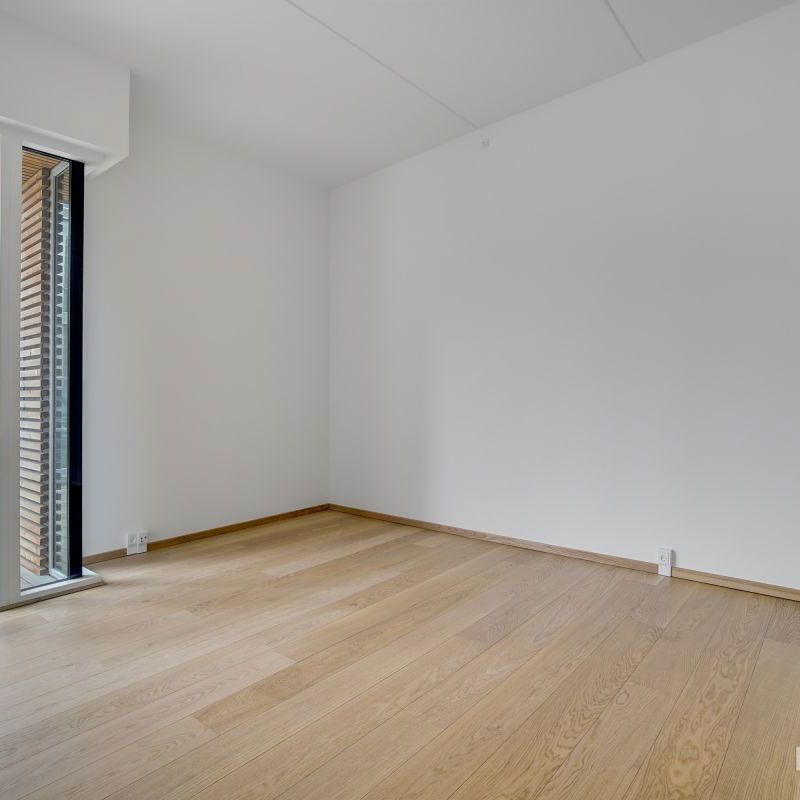 1-værelses Lejlighed på 60 m² i København S - Photo 1