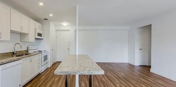 1 Bedroom Suite Steps from U of T - Photo 3