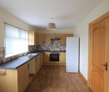 20 Lynn Avenue, Dromore, BT25 1PZ - Photo 5