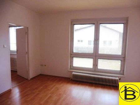 15237 zentral liegende Wohnung in Wagram zu vermieten! - Photo 4