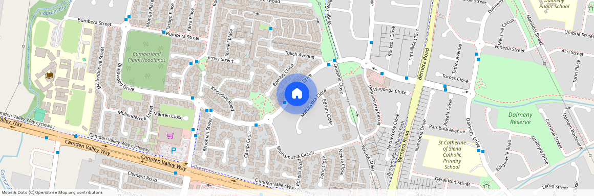 193 Braidwood Drive, NSW 2170, Prestons