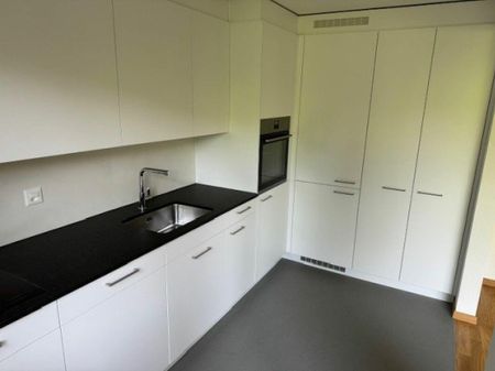 4.5 Zimmer Wohnung - Photo 4