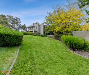 4/36 Morell Close, Belconnen ACT 2617 - Apartment For Rent | Domain - Photo 2