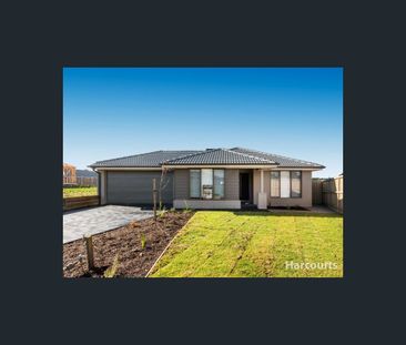 11 Cyclops Street, Warragul, Vic 3820 - Photo 6