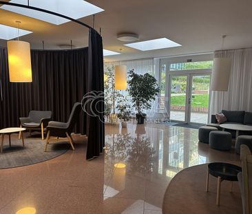 Pronájem bytu 1+kk 23 m² - Photo 1