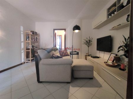 Grazioso tricolare in contesto di corte. - Photo 3