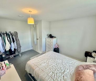 Bull Close - Photo 1