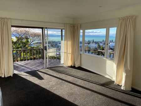 Recently renovated sunny FLAT with amazing views - Photo 2