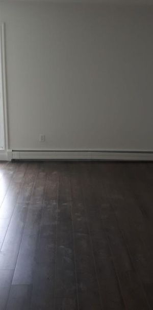 SUPERBE 3 ½ ENTIÈREMENT RÉNOVÉ - LIMOILOU - 995$ CHAUFFÉ,EAU CHAUDE - DISPONIBLE MAINTENANT OU POUR SEPTEMBRE - Photo 1