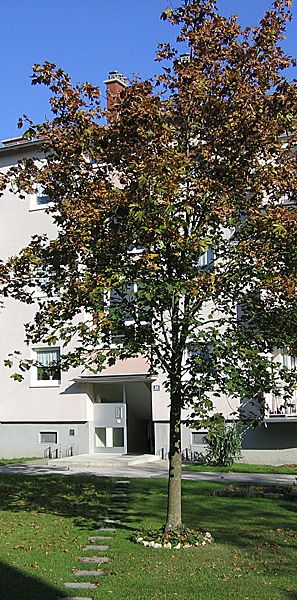 Wohnanlage der LAWOG Schilcherberg 18/8 4651 Stadl-Paura - Foto 2