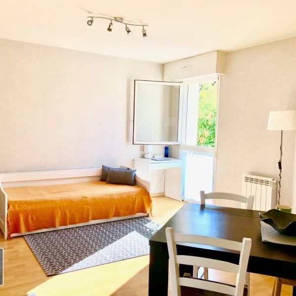 Location Appartement 1 pièce 24m² LAVAL 53000 - Photo 1