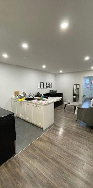 1 CH - 1 SDB - Montréal - $1,345 /mo - Photo 1