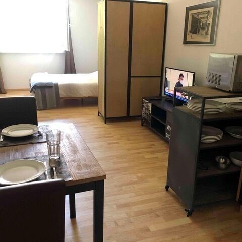 STUDIO IN LAUSANNE – PULLY, FURNISHED - Photo 1